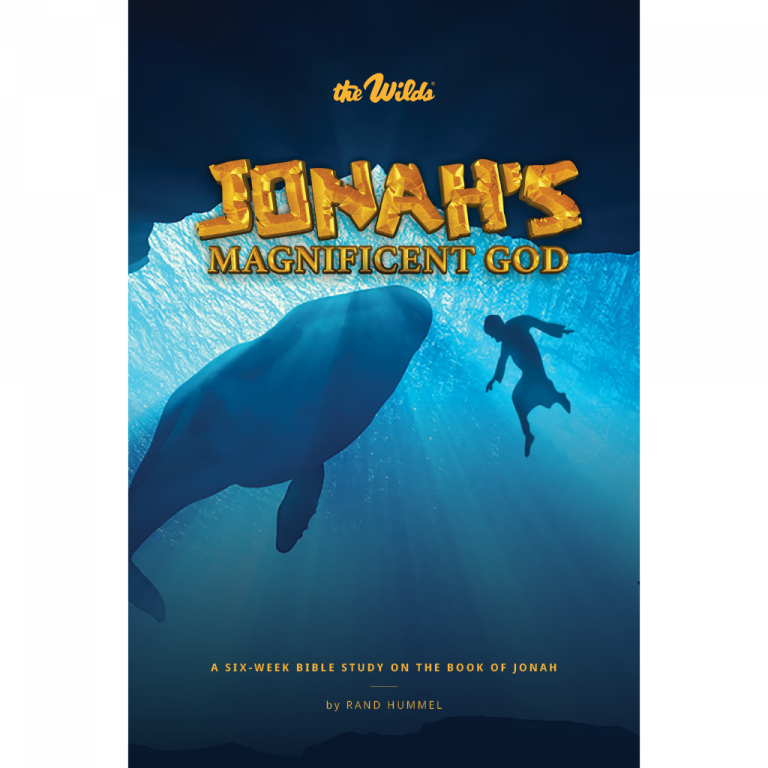 Jonah Bible Study: Jonah's Magnificent God